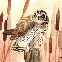 ACEO Limited Edition 1/50, Short eared owl, Gift for bird lovers, Miniature painting, Home decor ide