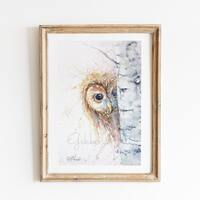 Peek-a-Woo, Tawny Owl, Watercolour Fine Art Giclee Print, Owl Watercolour, From an Original Painting