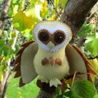 Tasmanian Masked Owl- craft kit