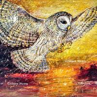 Flying Owl Giclee Art Print, Spiritual Wall Art by Shijun Munns