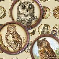 Simply Victorian Owls - Steampunk - 32mm Round Images - Digital Collage Sheet - Instant Download and