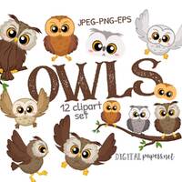 Owl Clipart, Animal Clipart, Hoot Owl Clipart, Owl Graphics, Magic Clipart, Commercial Use, Instant 