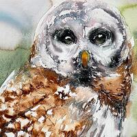 BARN OWL 22 x 15" watercolor of natural in organic scene with subtle gray and pleasant tones