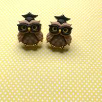 Brown Owl Earrings - Graduation Owl Earrings, Amigurumi Owl
