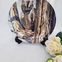 Wedgwood Owl Plate, Scops Owl, The Majesty of Owls Series, Trevor Boyer, Bird Lovers Gift, Vintage C