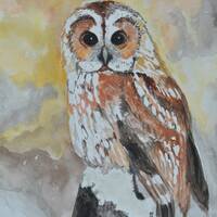 Watercolor Painting "Owl in Winter" owl painting wildlife portraits