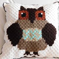 Made to Order, Crochet Pillow, Owl Pillow, Decorative Pillow, Birthday Gift, Livingroom Decor, Owl l