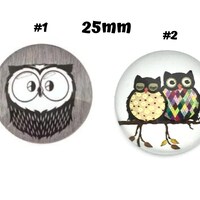 12 Owl Cabochon 25mm Round