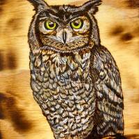 Owl Wise
