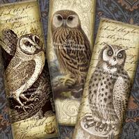 Junk Journal Stamps, Printables, Owl Ephemera, Scrapbook - 1x3" - Tea Stained Edges - Victorian