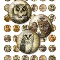 Textured Owls - Victorian - Steampunk - Goth - 1 Inch Circles - Digital Collage Sheet - Instant Down
