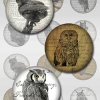 Owls Ephemera Vintage Instant Download for Glass Resin Pendants 2,1 Inch Round Circle Jpeg Images (S
