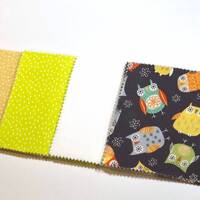 Colorful Owl Message Quilt Kit - Owls Baby Shower Gift - Moon Quilt - Crazy4Claire Quilt Kit - Newbo