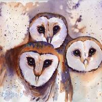 Barn Owl Portrait, Three Barn Owls, Barn Owl Painting, Owl Greeting Cards, Original Watercolor by Su