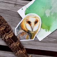 Barn Owl Vinyl Sticker by Ashley Nelson