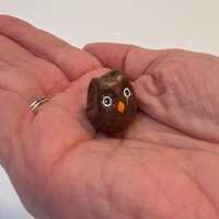 Cocoa the Tiny Brown Owl