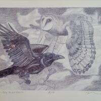 Graphite drawing of a raven and owl