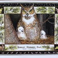Great Horned Owl (Bubo virginianus) set of 4 color postcards on 80# cardstock drawn by LC DeVona