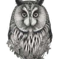 Owl and ivy A4 Giclee print 'The Owl of Cwm Cowlyd' by Louise Lily King