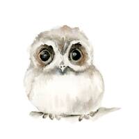 Baby Owl, Giclée Watercolor, 2 Size Options, 5x7 Vertical OR 8x10 Horizontal, soft grey, brow