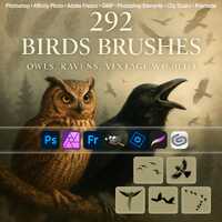 Birds Brushes &ndash; Owls, Ravens, Vintage Wildlife ABR for Photoshop, GIMP, Procreate, Fly Overlay