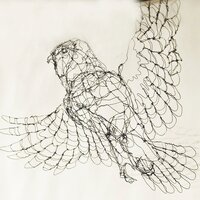 Barred Owl-Wire Drawing Sculpture Art
