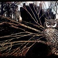 Arthur Rackham Halloween Print: Eerie Owl in Tree Illustration (Digital Download)
