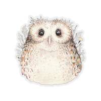 Baby Owl Sticker~Hand Drawn Owlet Kiss-Cut Decal~Woodland Animal Stickers~Gift for Owl Lover~Owl Gif