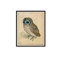 Albrecht Dürer 'Small Owl‘  Watercolor Reproduction Giclee Art Prints Unframed 5 x 7&