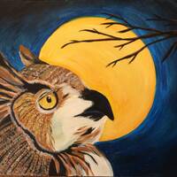 Owl with a Night Moon