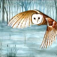 Barn owl print. Barn owl wall art. Barn owl art. Barn owl wall decor. Barn owl gift. Barn owl waterc