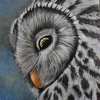 Acrylic painting on stretched cotton Owl dreaming of home