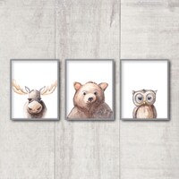 Woodland Set of 3 - Choose from Bear Moose Owl Fox