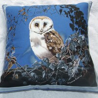 Beautiful young Barn owl cushion ( very rare)
