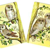 OWLS ON DUTY (2) Vintage Single Swap Playing Cards Paper Ephemera