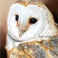 Barn Owl Art Print 5 x 7 inch Giclee by Roby Baer PSA