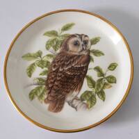 The Tawny Owl Collectors plate