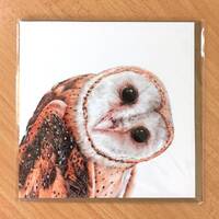 Barn Owl card with envelope by Jacqueline South