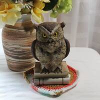 Large Andrea by Sadek Owl with Books Figurine