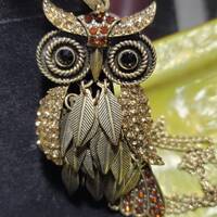 Whooo Loves Owls?