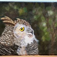 Owl in Nebulous Woods - Original Acrylic Painting