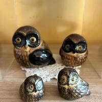 Tiny Owl Mama Papa and 2 Chicks