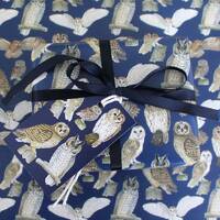 British Owls Wrapping Paper, Barn Owl, Tawny Owl, Little Owl, Long-eared, Short-eared, Gift Wrap + T