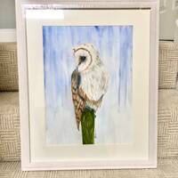 Barn Owl on Perch - framed original watercolour painting