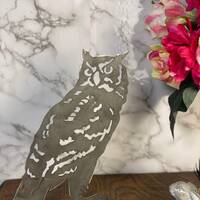Watching Tawny Owl Barn Owl Bird Wildlife Brushed Steel Home Interior Design Present Gift Idea