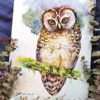 Charming Owl Perched on a Mossy Branch - ORIGINAL hand painted by Yui Chatkamol, watercolor painting