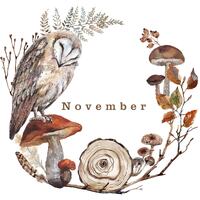 Watercolor Autumn Clipart Watercolour Fall Wreath Owl Mushrooms Leaves Invitation Fall Decor Logo De
