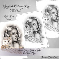 Grayscale Coloring Page The Owls Barn Owl Wings Feather Fantasy Girl Zindy Nielsen