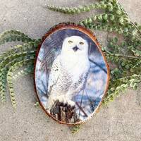 Vintage White Owl Tree Slice