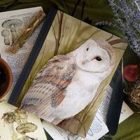 Barn Owl Journal - Notebook - Spirit Animal